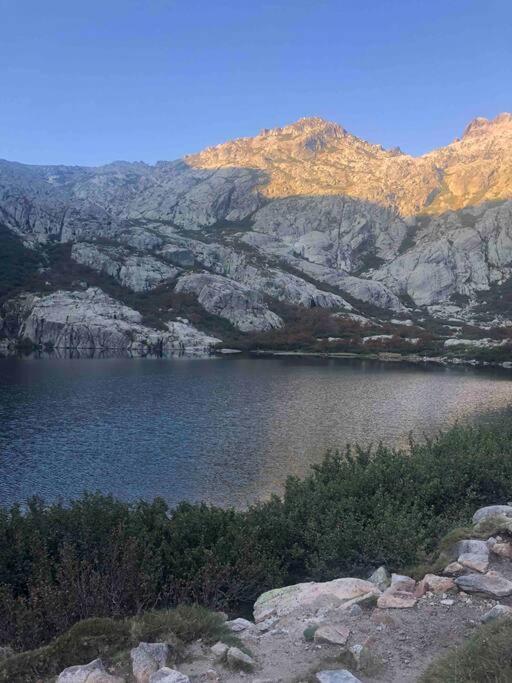 Appartement Au Coeur De La Ville Corte  Eksteriør bilde